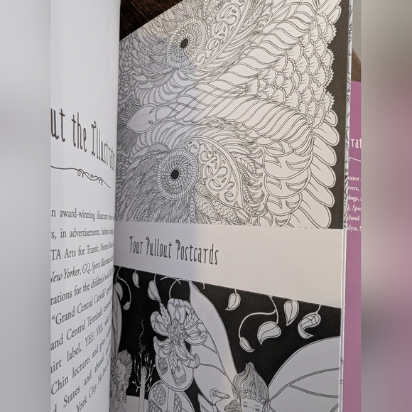 The Fairyland Colouring Book & Fairies in Wonderland 2 Coloring Books for adults - Picture 11 of 11